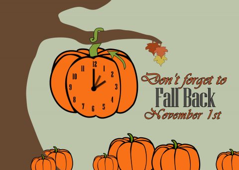 Fall Back 2015